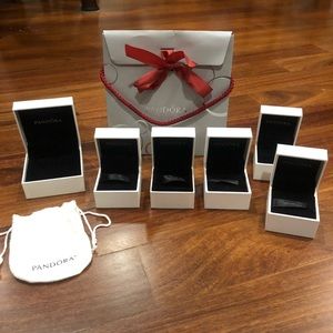 Pandora Boxes and LE Pandora Club Bag